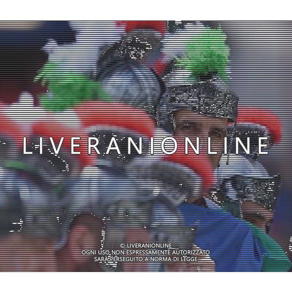 UEFA Francia EURO 2016 Final Tournament Group Stage E Tolosa - 17.06.2016 Italia-Svezia Nella Foto:tifosi italia /Ph.Vitez-Ag. Aldo Liverani