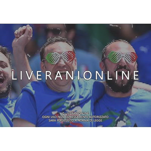 UEFA Francia EURO 2016 Final Tournament Group Stage E Tolosa - 17.06.2016 Italia-Svezia Nella Foto:tifosi italia /Ph.Vitez-Ag. Aldo Liverani