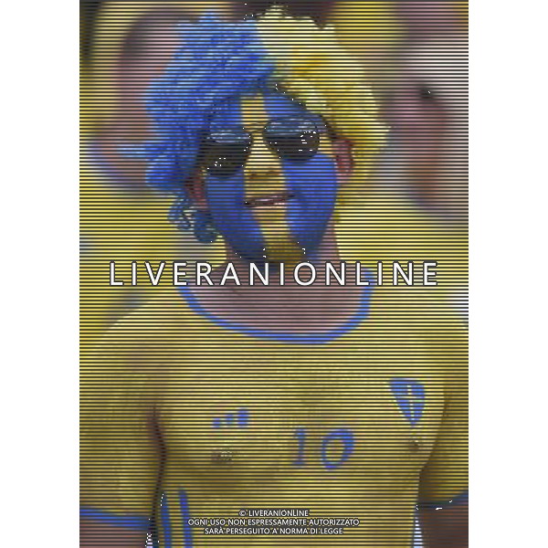 UEFA Francia EURO 2016 Final Tournament Group Stage E Tolosa - 17.06.2016 Italia-Svezia Nella Foto:tifosi svezia /Ph.Vitez-Ag. Aldo Liverani