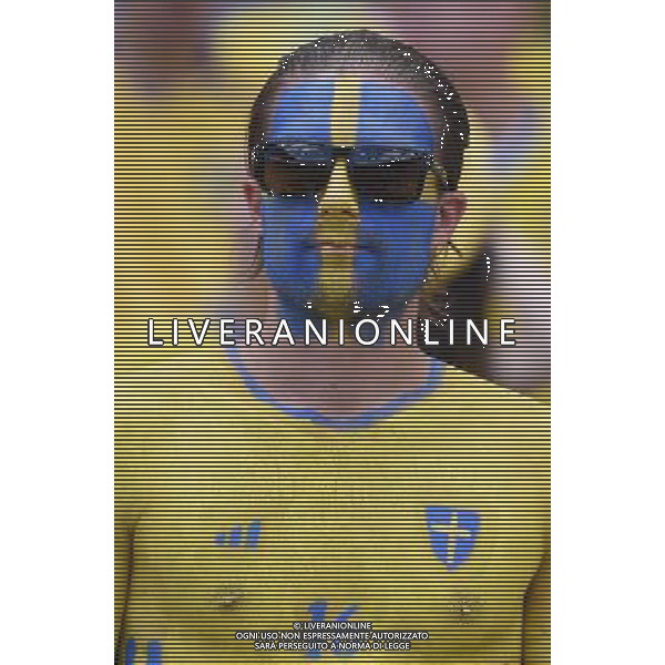 UEFA Francia EURO 2016 Final Tournament Group Stage E Tolosa - 17.06.2016 Italia-Svezia Nella Foto:tifosi svezia /Ph.Vitez-Ag. Aldo Liverani