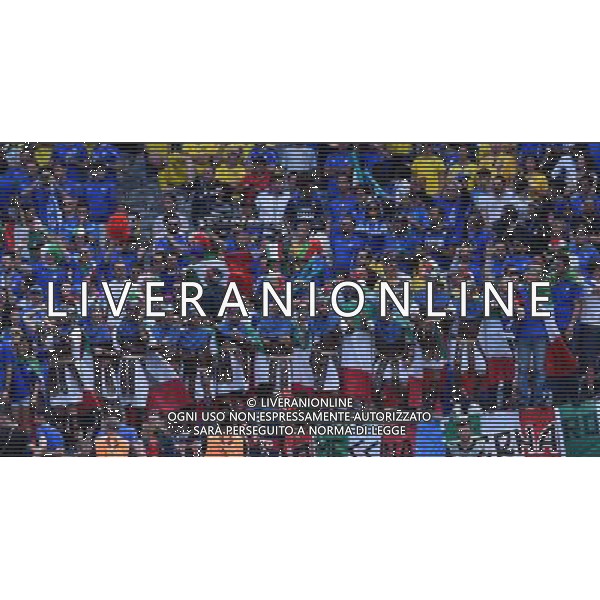 UEFA Francia EURO 2016 Final Tournament Group Stage E Tolosa - 17.06.2016 Italia-Svezia Nella Foto:tifosi italia /Ph.Vitez-Ag. Aldo Liverani