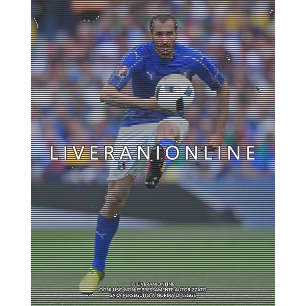 UEFA Francia EURO 2016 Final Tournament Group Stage E Tolosa - 17.06.2016 Italia-Svezia Nella Foto:chiellini giorgio /Ph.Vitez-Ag. Aldo Liverani
