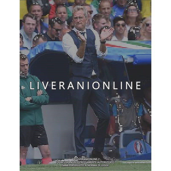 UEFA Francia EURO 2016 Final Tournament Group Stage E Tolosa - 17.06.2016 Italia-Svezia Nella Foto: Erik Anders hamren /Ph.Vitez-Ag. Aldo Liverani