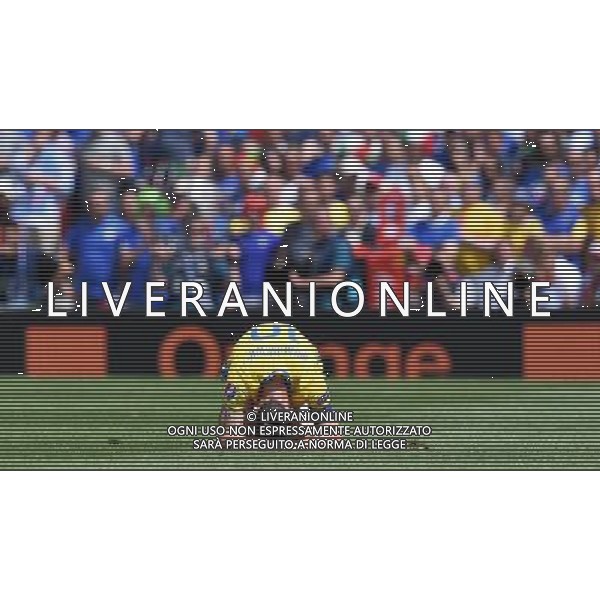 UEFA Francia EURO 2016 Final Tournament Group Stage E Tolosa - 17.06.2016 Italia-Svezia Nella Foto:ibrahimovic zlatan /Ph.Vitez-Ag. Aldo Liverani