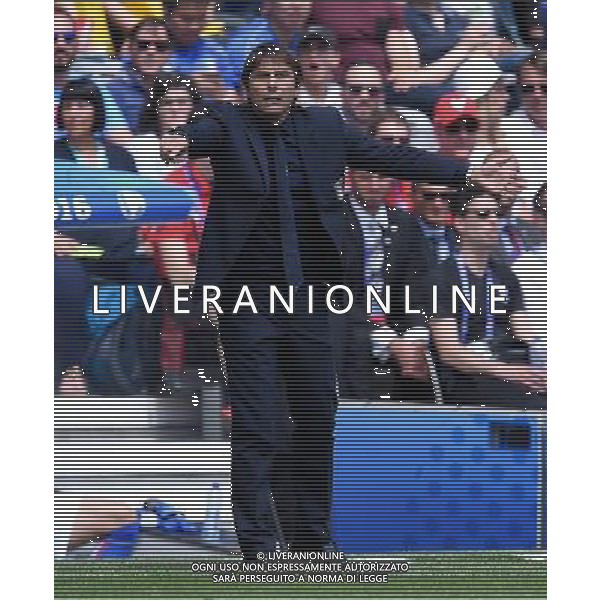 UEFA Francia EURO 2016 Final Tournament Group Stage E Tolosa - 17.06.2016 Italia-Svezia Nella Foto:conte antonio /Ph.Vitez-Ag. Aldo Liverani