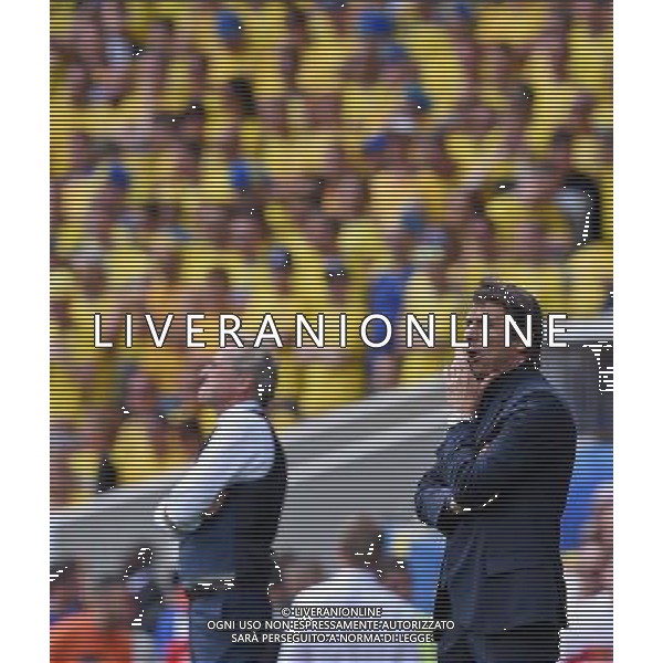 UEFA Francia EURO 2016 Final Tournament Group Stage E Tolosa - 17.06.2016 Italia-Svezia Nella Foto:conte antonio /Ph.Vitez-Ag. Aldo Liverani