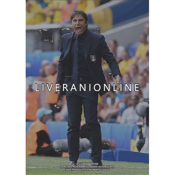 UEFA Francia EURO 2016 Final Tournament Group Stage E Tolosa - 17.06.2016 Italia-Svezia Nella Foto:conte antonio /Ph.Vitez-Ag. Aldo Liverani