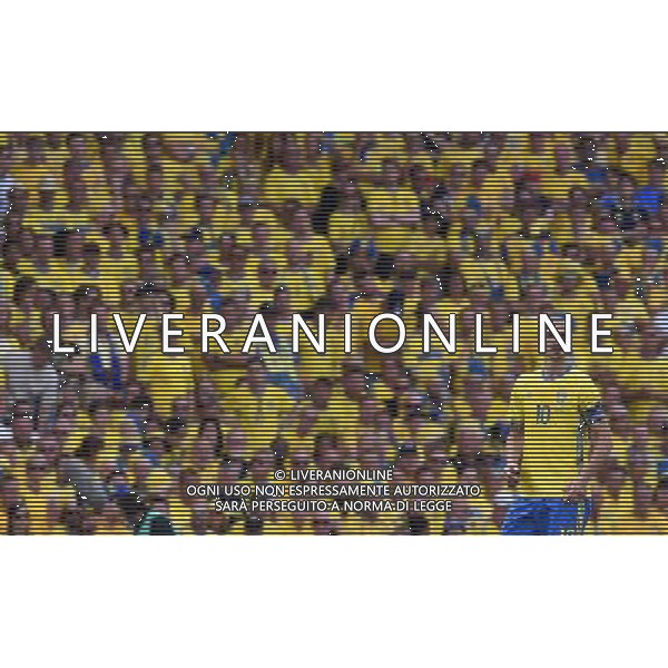 UEFA Francia EURO 2016 Final Tournament Group Stage E Tolosa - 17.06.2016 Italia-Svezia Nella Foto:ibrahimovic zlatan /Ph.Vitez-Ag. Aldo Liverani