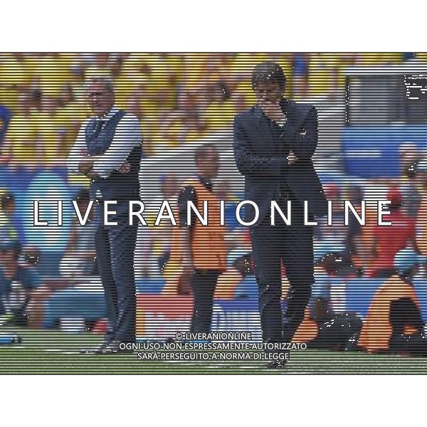 UEFA Francia EURO 2016 Final Tournament Group Stage E Tolosa - 17.06.2016 Italia-Svezia Nella Foto:hamren e antonio conte /Ph.Vitez-Ag. Aldo Liverani