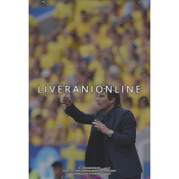 UEFA Francia EURO 2016 Final Tournament Group Stage E Tolosa - 17.06.2016 Italia-Svezia Nella Foto: antonio conte /Ph.Vitez-Ag. Aldo Liverani