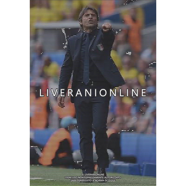 UEFA Francia EURO 2016 Final Tournament Group Stage E Tolosa - 17.06.2016 Italia-Svezia Nella Foto:conte antonio /Ph.Vitez-Ag. Aldo Liverani