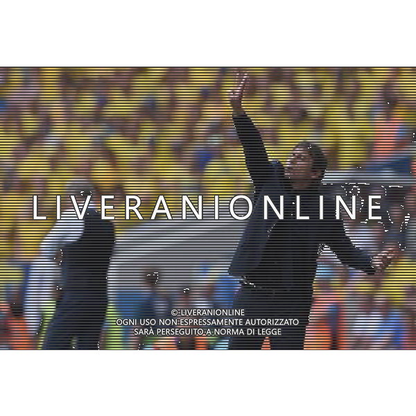 UEFA Francia EURO 2016 Final Tournament Group Stage E Tolosa - 17.06.2016 Italia-Svezia Nella Foto:conte antonio /Ph.Vitez-Ag. Aldo Liverani