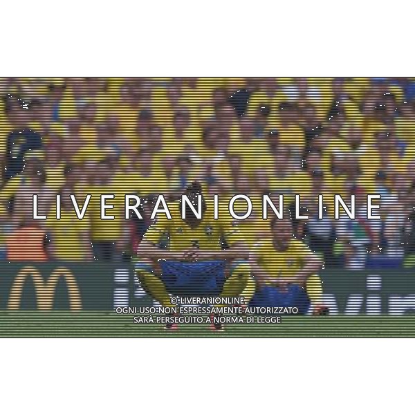 UEFA Francia EURO 2016 Final Tournament Group Stage E Tolosa - 17.06.2016 Italia-Svezia Nella Foto:delusione svezia /Ph.Vitez-Ag. Aldo Liverani