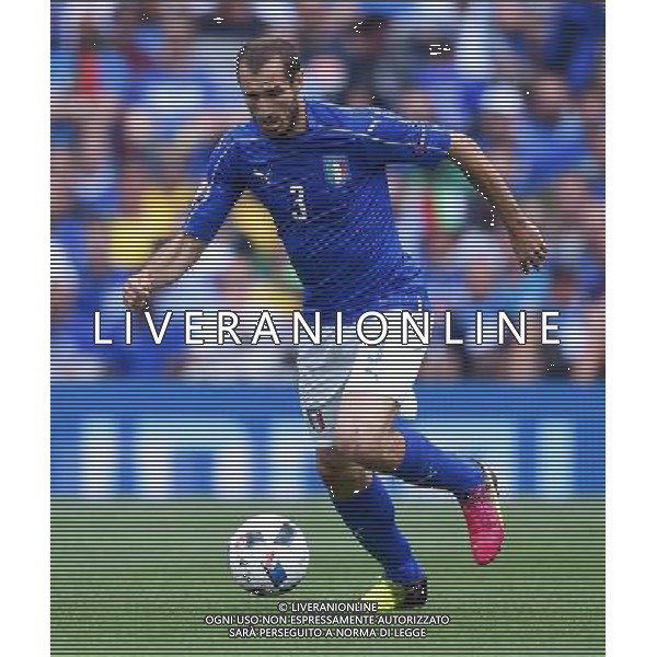 UEFA Francia EURO 2016 Final Tournament Group Stage E Tolosa - 17.06.2016 Italia-Svezia Nella Foto:Chiellini Giorgio /Ph.Vitez-Ag. Aldo Liverani