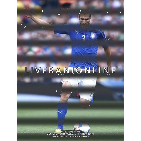 UEFA Francia EURO 2016 Final Tournament Group Stage E Tolosa - 17.06.2016 Italia-Svezia Nella Foto:Chiellini Giorgio /Ph.Vitez-Ag. Aldo Liverani