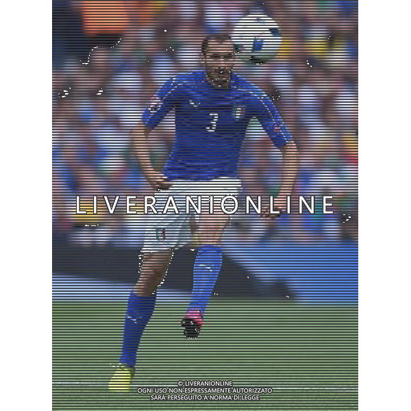 UEFA Francia EURO 2016 Final Tournament Group Stage E Tolosa - 17.06.2016 Italia-Svezia Nella Foto:Chiellini Giorgio /Ph.Vitez-Ag. Aldo Liverani