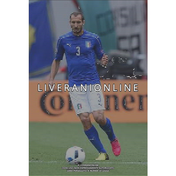 UEFA Francia EURO 2016 Final Tournament Group Stage E Tolosa - 17.06.2016 Italia-Svezia Nella Foto:Chiellini Giorgio /Ph.Vitez-Ag. Aldo Liverani