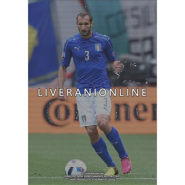 UEFA Francia EURO 2016 Final Tournament Group Stage E Tolosa - 17.06.2016 Italia-Svezia Nella Foto:Chiellini Giorgio /Ph.Vitez-Ag. Aldo Liverani