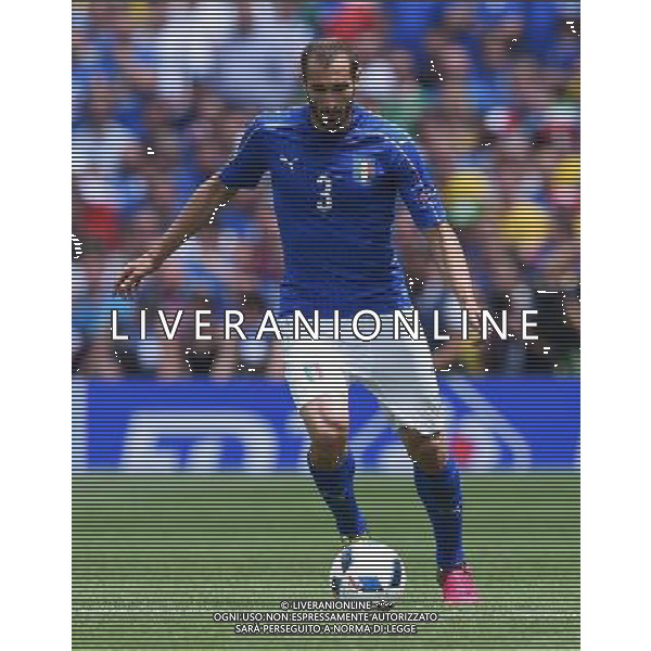 UEFA Francia EURO 2016 Final Tournament Group Stage E Tolosa - 17.06.2016 Italia-Svezia Nella Foto:Chiellini Giorgio /Ph.Vitez-Ag. Aldo Liverani