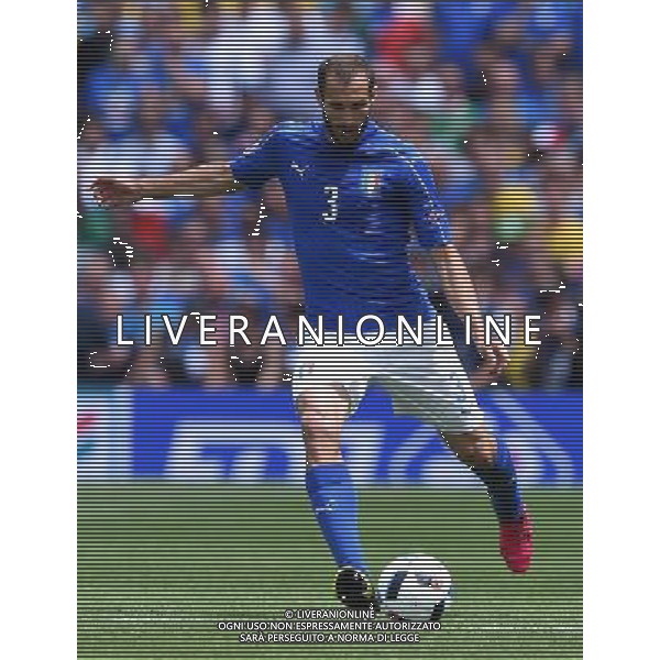 UEFA Francia EURO 2016 Final Tournament Group Stage E Tolosa - 17.06.2016 Italia-Svezia Nella Foto:Chiellini Giorgio /Ph.Vitez-Ag. Aldo Liverani