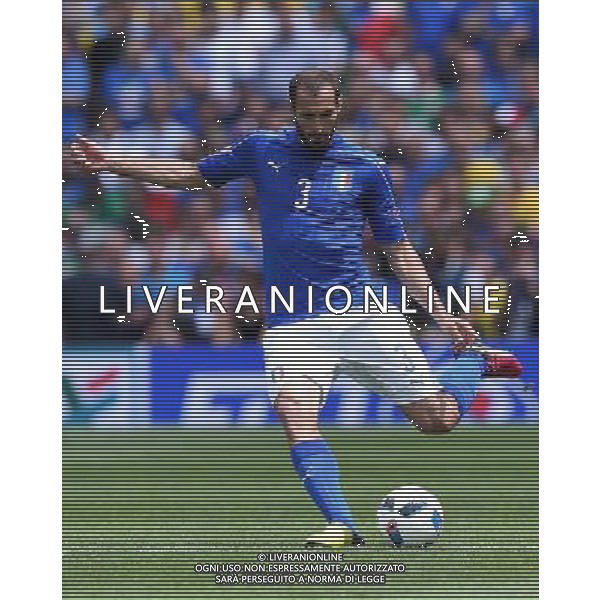 UEFA Francia EURO 2016 Final Tournament Group Stage E Tolosa - 17.06.2016 Italia-Svezia Nella Foto:Chiellini Giorgio /Ph.Vitez-Ag. Aldo Liverani