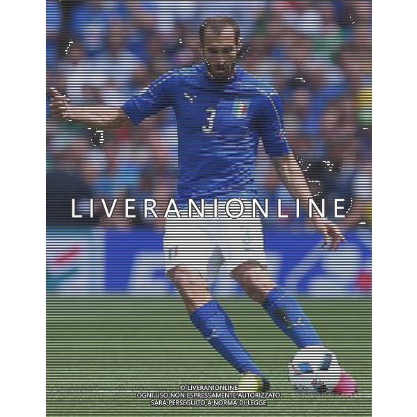 UEFA Francia EURO 2016 Final Tournament Group Stage E Tolosa - 17.06.2016 Italia-Svezia Nella Foto:Chiellini Giorgio /Ph.Vitez-Ag. Aldo Liverani