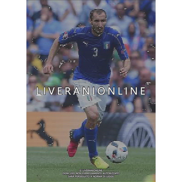 UEFA Francia EURO 2016 Final Tournament Group Stage E Tolosa - 17.06.2016 Italia-Svezia Nella Foto:Chiellini Giorgio /Ph.Vitez-Ag. Aldo Liverani