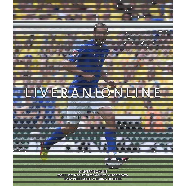 UEFA Francia EURO 2016 Final Tournament Group Stage E Tolosa - 17.06.2016 Italia-Svezia Nella Foto:Chiellini Giorgio /Ph.Vitez-Ag. Aldo Liverani