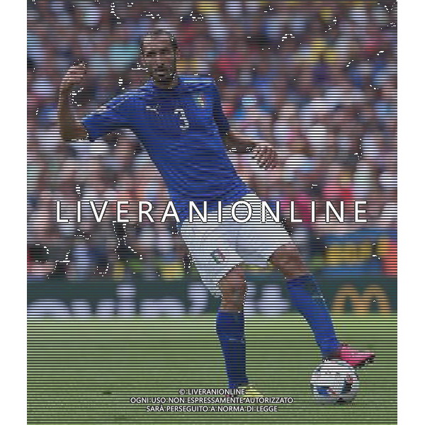 UEFA Francia EURO 2016 Final Tournament Group Stage E Tolosa - 17.06.2016 Italia-Svezia Nella Foto:Chiellini Giorgio /Ph.Vitez-Ag. Aldo Liverani