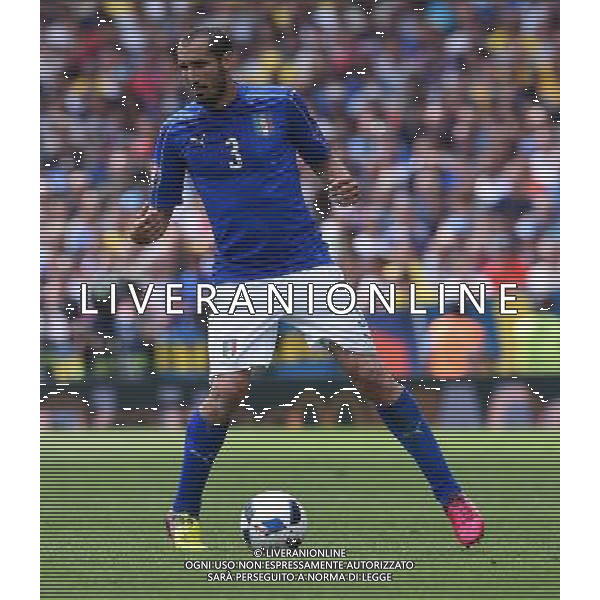 UEFA Francia EURO 2016 Final Tournament Group Stage E Tolosa - 17.06.2016 Italia-Svezia Nella Foto:Chiellini Giorgio /Ph.Vitez-Ag. Aldo Liverani