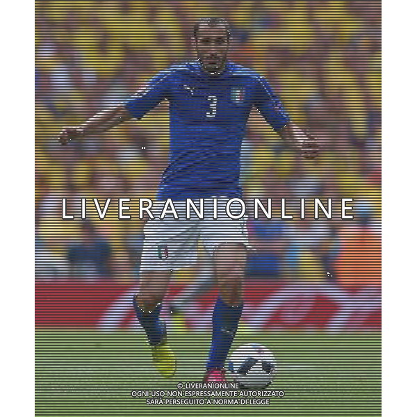 UEFA Francia EURO 2016 Final Tournament Group Stage E Tolosa - 17.06.2016 Italia-Svezia Nella Foto:Chiellini Giorgio /Ph.Vitez-Ag. Aldo Liverani