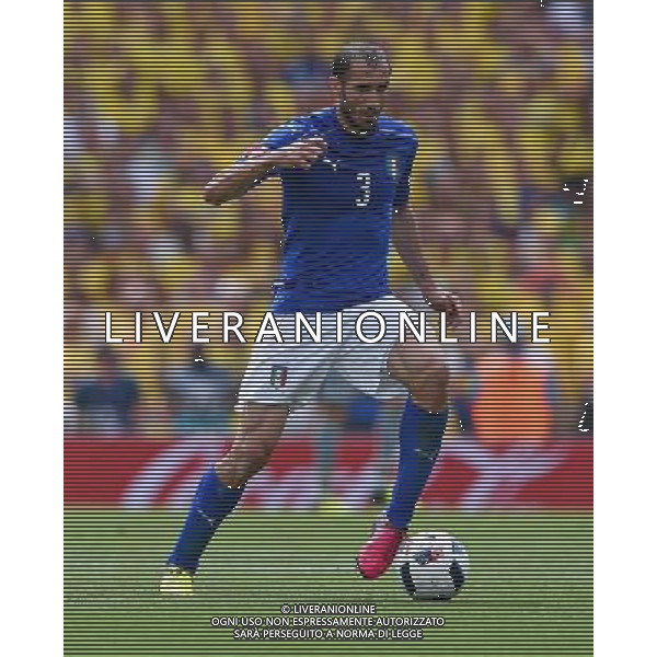 UEFA Francia EURO 2016 Final Tournament Group Stage E Tolosa - 17.06.2016 Italia-Svezia Nella Foto:Chiellini Giorgio /Ph.Vitez-Ag. Aldo Liverani