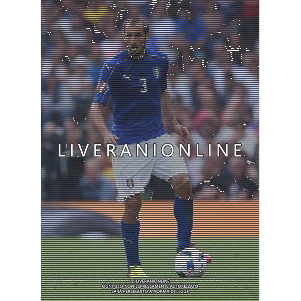 UEFA Francia EURO 2016 Final Tournament Group Stage E Tolosa - 17.06.2016 Italia-Svezia Nella Foto:Chiellini Giorgio /Ph.Vitez-Ag. Aldo Liverani