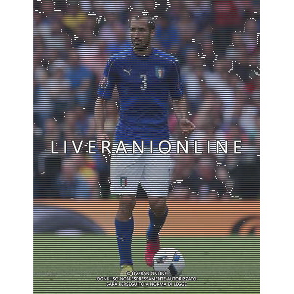 UEFA Francia EURO 2016 Final Tournament Group Stage E Tolosa - 17.06.2016 Italia-Svezia Nella Foto:Chiellini Giorgio /Ph.Vitez-Ag. Aldo Liverani