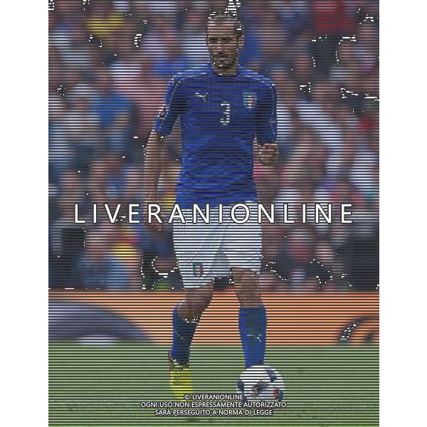 UEFA Francia EURO 2016 Final Tournament Group Stage E Tolosa - 17.06.2016 Italia-Svezia Nella Foto:Chiellini Giorgio /Ph.Vitez-Ag. Aldo Liverani