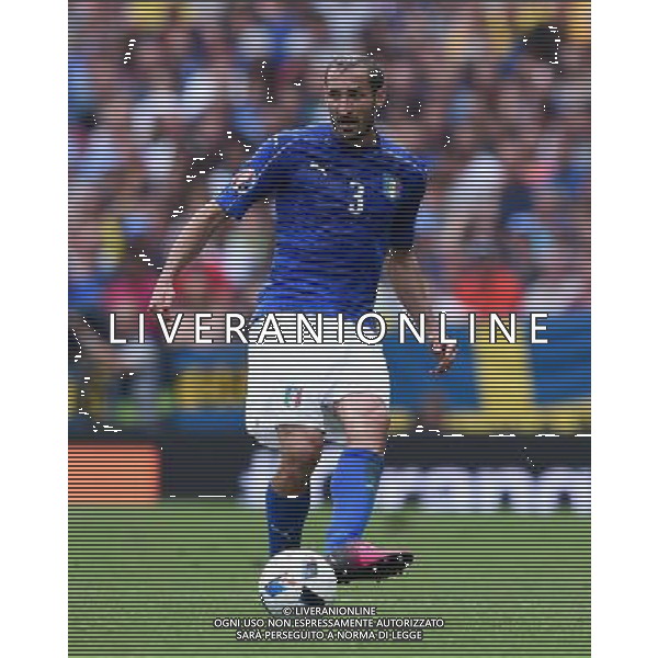 UEFA Francia EURO 2016 Final Tournament Group Stage E Tolosa - 17.06.2016 Italia-Svezia Nella Foto:Chiellini Giorgio /Ph.Vitez-Ag. Aldo Liverani