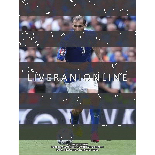UEFA Francia EURO 2016 Final Tournament Group Stage E Tolosa - 17.06.2016 Italia-Svezia Nella Foto:Chiellini Giorgio /Ph.Vitez-Ag. Aldo Liverani