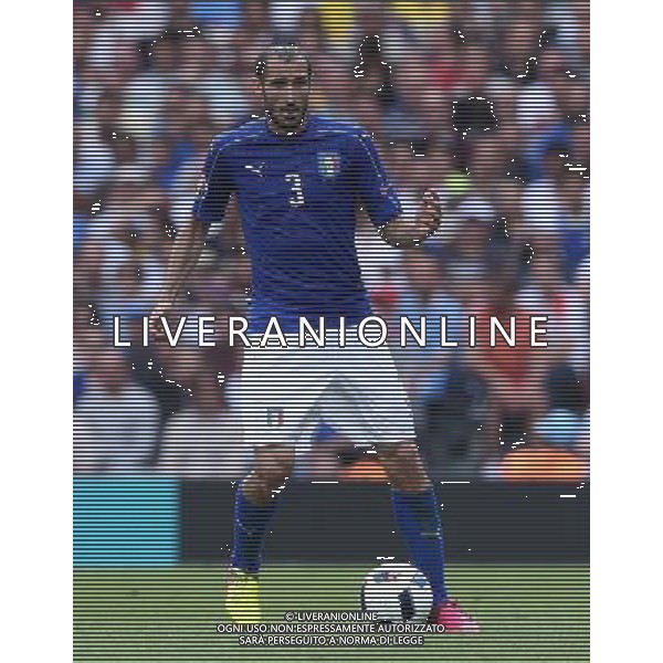 UEFA Francia EURO 2016 Final Tournament Group Stage E Tolosa - 17.06.2016 Italia-Svezia Nella Foto:Chiellini Giorgio /Ph.Vitez-Ag. Aldo Liverani
