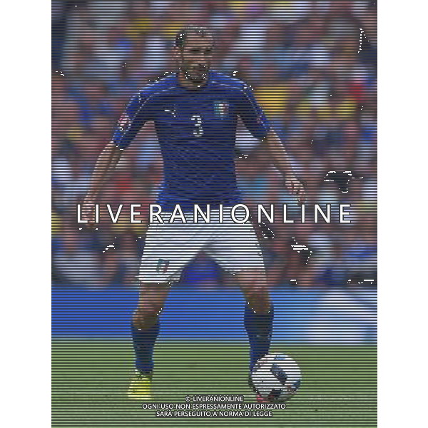 UEFA Francia EURO 2016 Final Tournament Group Stage E Tolosa - 17.06.2016 Italia-Svezia Nella Foto:Chiellini Giorgio /Ph.Vitez-Ag. Aldo Liverani