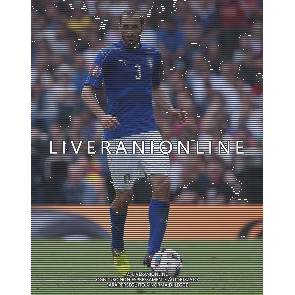 UEFA Francia EURO 2016 Final Tournament Group Stage E Tolosa - 17.06.2016 Italia-Svezia Nella Foto:Chiellini Giorgio /Ph.Vitez-Ag. Aldo Liverani