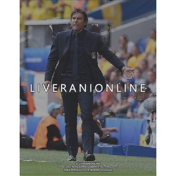 UEFA Francia EURO 2016 Final Tournament Group Stage E Tolosa - 17.06.2016 Italia-Svezia Nella Foto:Conte Antonio /Ph.Vitez-Ag. Aldo Liverani