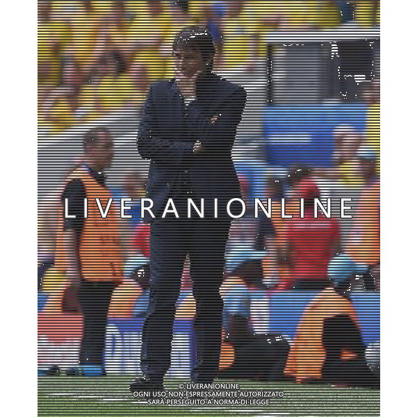 UEFA Francia EURO 2016 Final Tournament Group Stage E Tolosa - 17.06.2016 Italia-Svezia Nella Foto:Conte Antonio /Ph.Vitez-Ag. Aldo Liverani