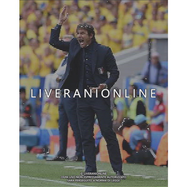 UEFA Francia EURO 2016 Final Tournament Group Stage E Tolosa - 17.06.2016 Italia-Svezia Nella Foto:Conte Antonio /Ph.Vitez-Ag. Aldo Liverani