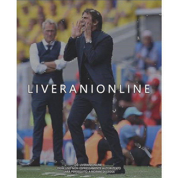 UEFA Francia EURO 2016 Final Tournament Group Stage E Tolosa - 17.06.2016 Italia-Svezia Nella Foto:Conte Antonio /Ph.Vitez-Ag. Aldo Liverani