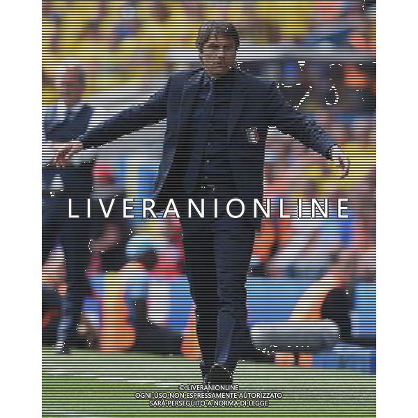 UEFA Francia EURO 2016 Final Tournament Group Stage E Tolosa - 17.06.2016 Italia-Svezia Nella Foto:Conte Antonio /Ph.Vitez-Ag. Aldo Liverani