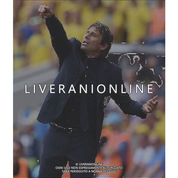 UEFA Francia EURO 2016 Final Tournament Group Stage E Tolosa - 17.06.2016 Italia-Svezia Nella Foto:Conte Antonio /Ph.Vitez-Ag. Aldo Liverani