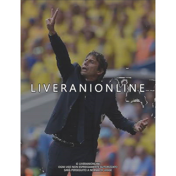 UEFA Francia EURO 2016 Final Tournament Group Stage E Tolosa - 17.06.2016 Italia-Svezia Nella Foto:Conte Antonio /Ph.Vitez-Ag. Aldo Liverani