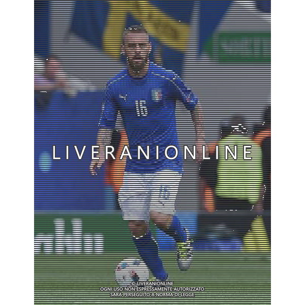 UEFA Francia EURO 2016 Final Tournament Group Stage E Tolosa - 17.06.2016 Italia-Svezia Nella Foto:De Rossi Daniele /Ph.Vitez-Ag. Aldo Liverani