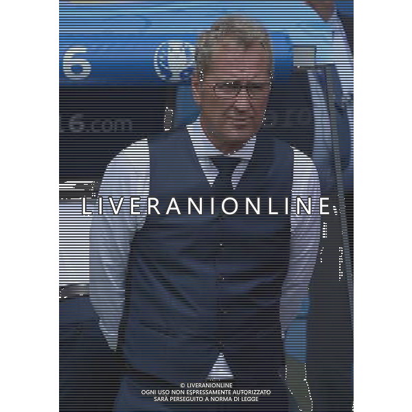 UEFA Francia EURO 2016 Final Tournament Group Stage E Tolosa - 17.06.2016 Italia-Svezia Nella Foto:Hamren Erik /Ph.Vitez-Ag. Aldo Liverani