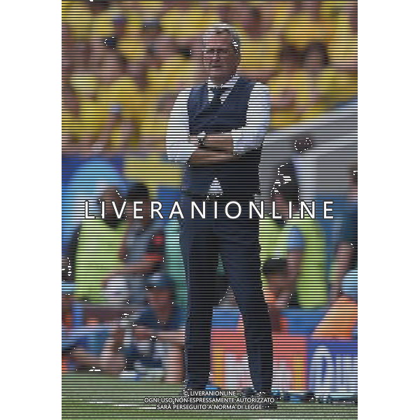 UEFA Francia EURO 2016 Final Tournament Group Stage E Tolosa - 17.06.2016 Italia-Svezia Nella Foto:Hamren Erik /Ph.Vitez-Ag. Aldo Liverani